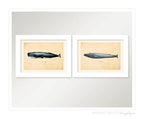 Vintage Blue Whale Print 8x10 P86 Etsy