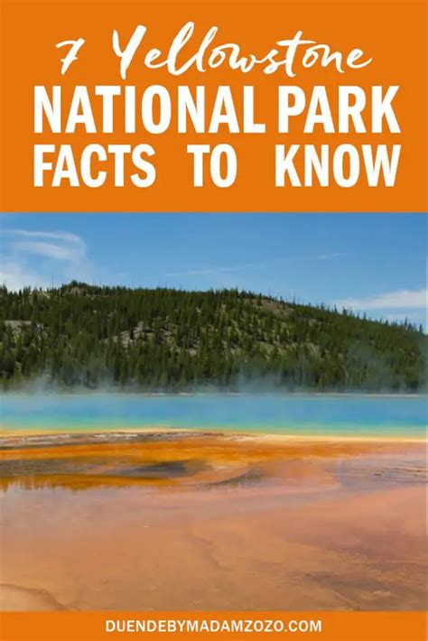 7 yellowstone national park facts to know and experience
