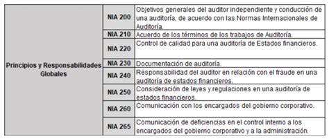 ¿qué Son Las Normas Internacionales De Auditoría Y Cuál Es Su Objetivo