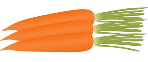 Free Carrots Cliparts Download Free Clip Art Free Clip