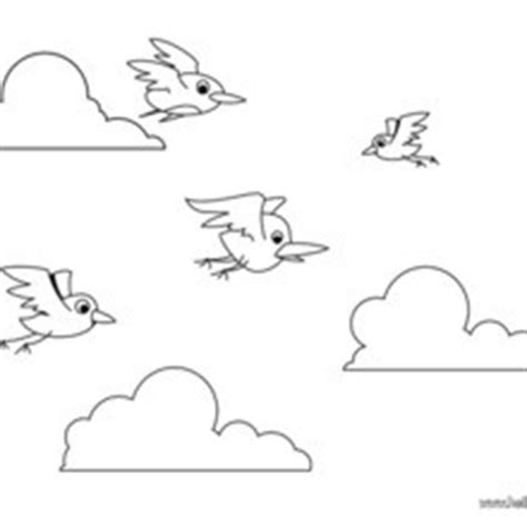 flying birds images  colouring alison illustration