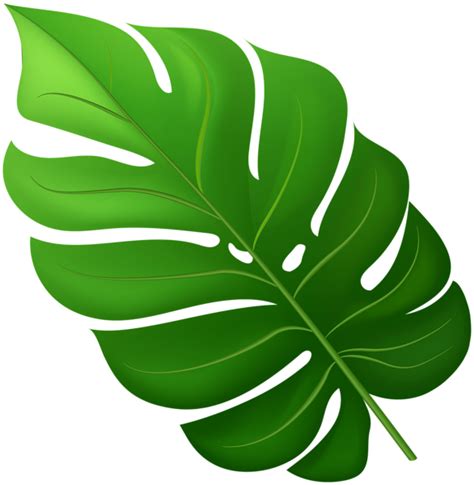 Tropical Leaf Png Clipart Leaf Clipart Tropical Leaves Drawings