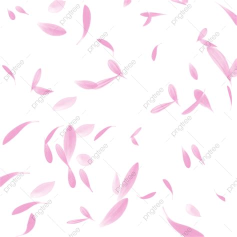 Flower Petals Clipart Transparent Png Hd Pink Flower Petals Pink