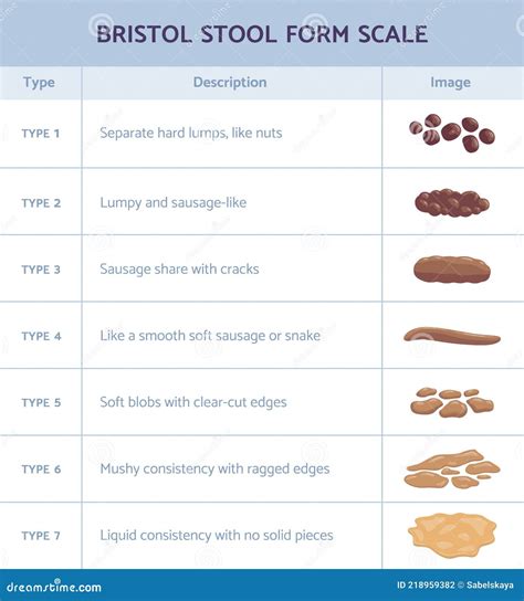 Bristol Stool Form Scale Infographic With Faeces Type Flat Vector