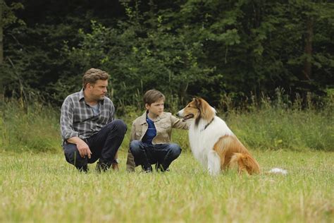 Lassie Come Home Again Remake Of A Classic Is A Reminder Of Our Bond