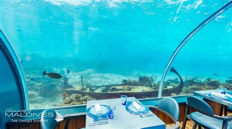 The Underwater Restaurant At Hurawalhi Maldives The 58 In 2020