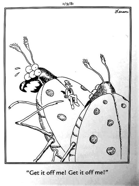 On The Back Of A Bug Gary Larson Cartoons Far Side Comics Far Side