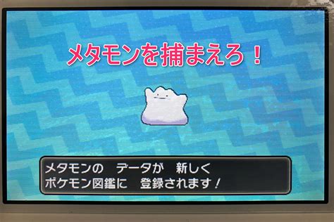 最も欲しかった ポケ とる ケロマツ ポケ とる ケロマツ ゲット 方法 Irasutoxfdhy