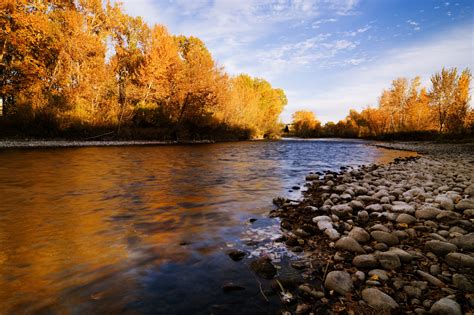 Autumn Morning Along Boise River In Boise Idaho Usa Photograph By