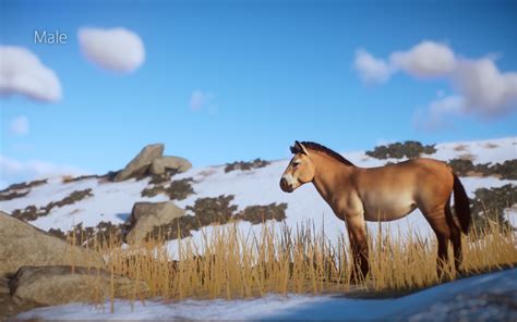 Przewalskis Horse At Planet Zoo Nexus Mods And Community Horses