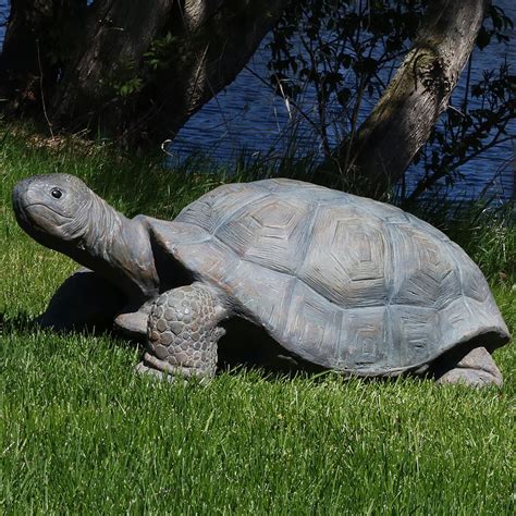Turtle Statue The Garden And Patio Home Guide