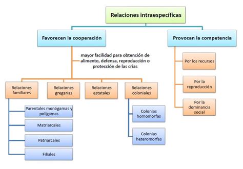 Mapa Conceptual De Relaciones Intraespecificas Y Interespecificas The