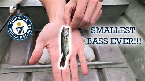 World Record Smallest Bass Vlog 003 Youtube