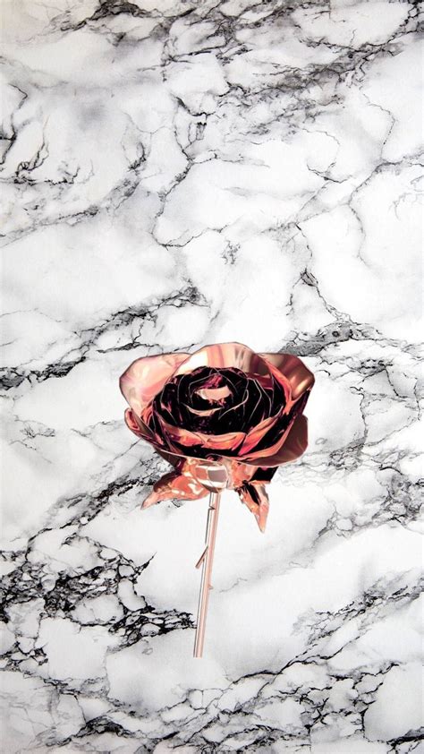 Download Rose Gold Rose Flower Wallpaper