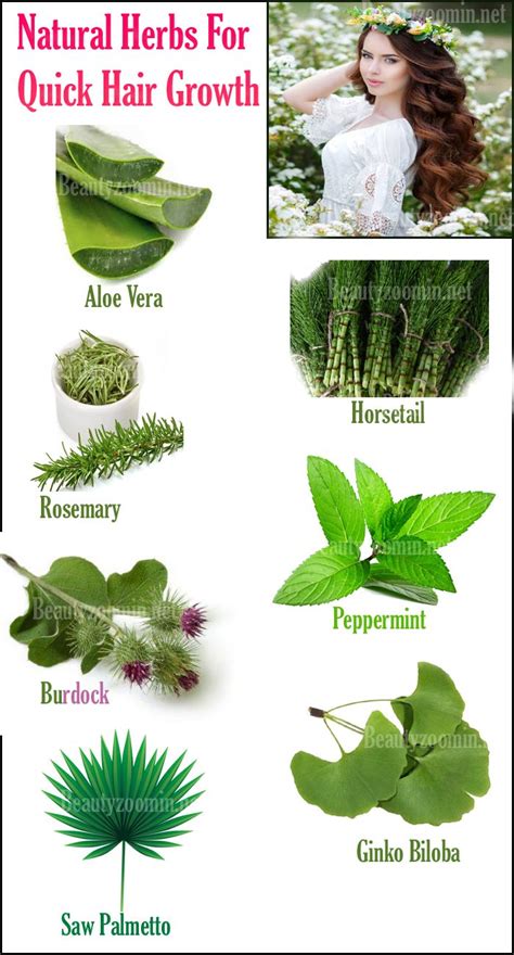 Natural Herbs For Quick Hair Growth Herbs And Their Benefits Quick