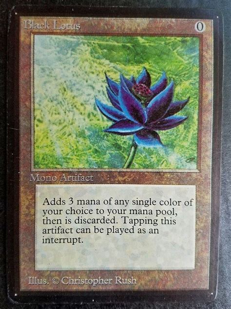 Black lotus magic the gathering gold metal art collectible card showcase new mtg. How to sell my MTG Beta Black Lotus card and get what it is worth - Quora