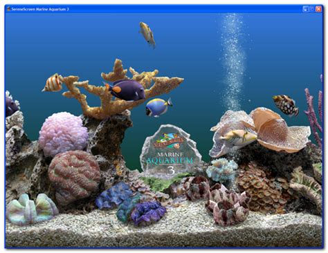 3d Marine Aquarium Screensaver Pilotmaven
