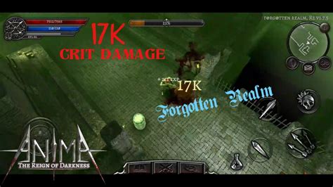 Anima Rpg Lvl 57 Forgotten Realm 17k Crit Damage Youtube