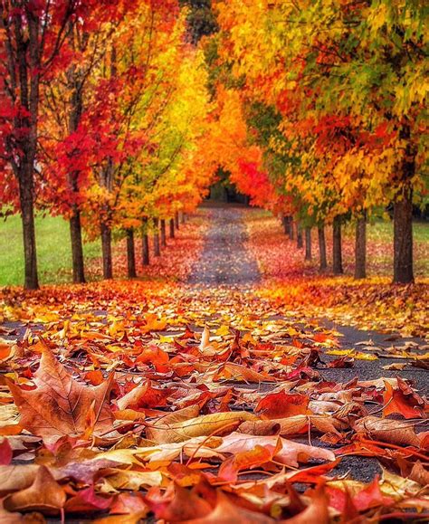 Piclogy On Twitter Fall Pictures Autumn Scenes Autumn Scenery