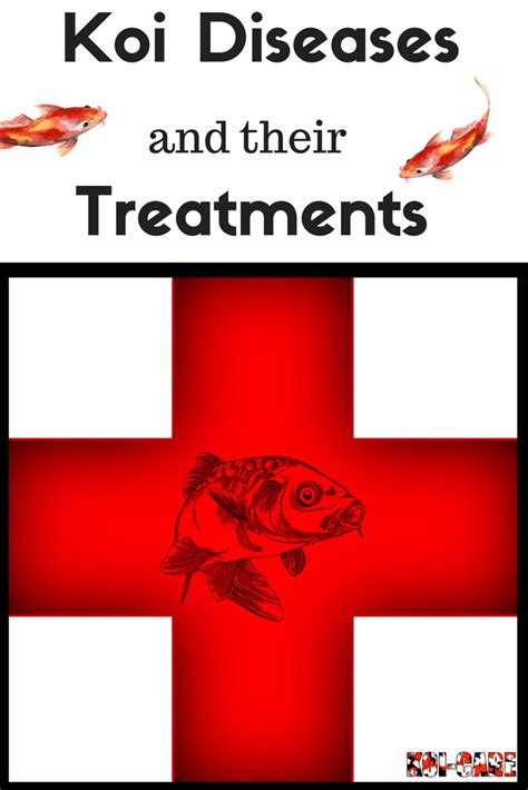 Figure Out What Is Going On With Your Koi Understand What Symptoms