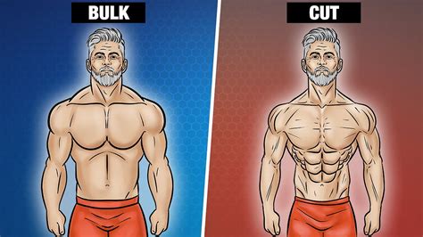 The Ultimate Guide To Effective Bulk And Cut Phases By Crisci Emanuele Medium