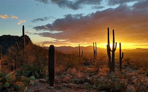 Tucson Arizona Sky Usa Sun Desert Mountains Cactus Hd Wallpaper