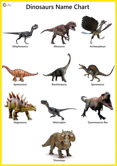 Dinosaur Identification Chart