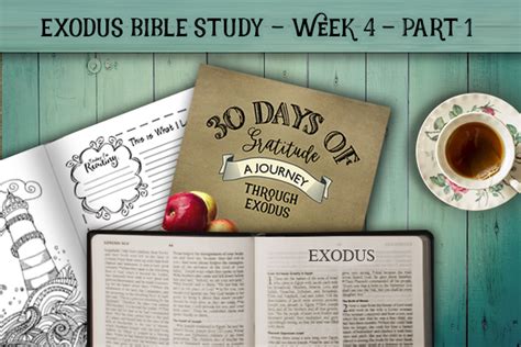 Exodus Bible Study Week 4 Part 1 Time Warp Wife Exodus Bible