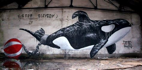 Banksys Orca Leaping Out Of A Toilet Bowl At ‘dismal Land Is Possibly