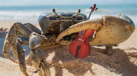 Crab Rave But Its Classical Music Youtube