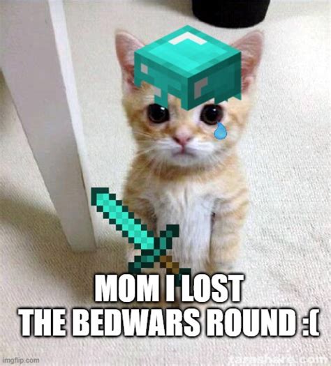 Image Tagged In Minecraftcatscute Imgflip