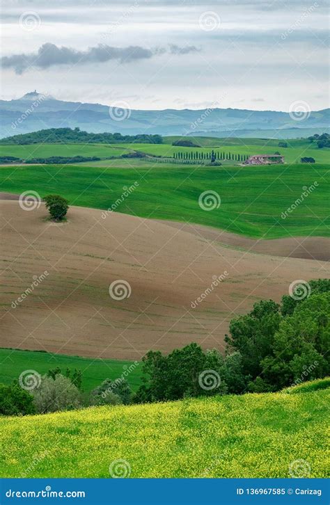 Green Meadows In Tuscany Italy Stock Image Image Of Meadows Farm