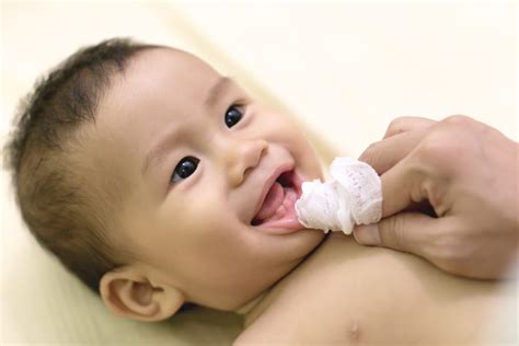 Bayi Tumbuh Gigi Ini Tanda Dan Antisipasinya Moms Indonesia