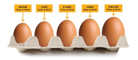 Egg Sizes And Weights