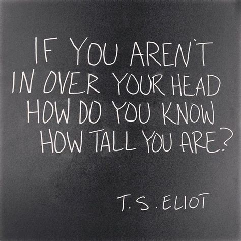 If You Aren T In Over Your Head How Do You Know How Tall You Are T
