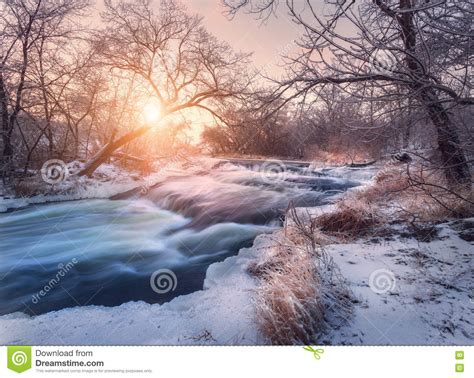 Christmas Background With Snowy Forest Winter Landscape Stock Image