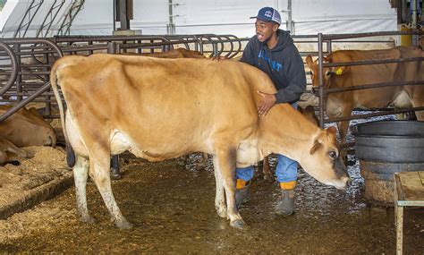 Modern Milking Bringing Advanced Tech To The Barn