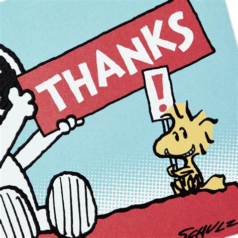Peanuts Snoopy And Woodstock Blank Thank You Notes Pack Of 10 Note