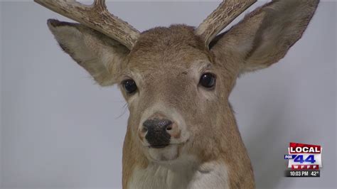 Vermont Moves Forward On Overhaul Of Deer Hunting Rules Youtube