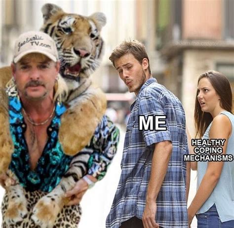 Sex Drugs And Big Cats Here Are All The Best Tiger King Memes