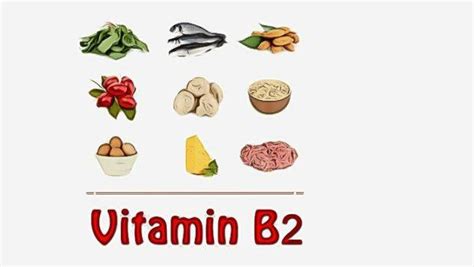 We did not find results for: List of foods high in vitamin B complex you should know