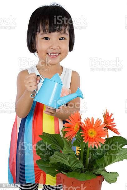 Asian Little Chinese Girl Watering Flower Stock Photo Download Image