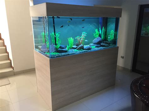 Img7079 Custom Fish Tanks And Aquariums