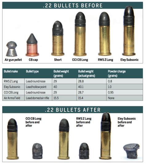 The Advantages Of Reduced Load 22 Rimfire Ammunition Shooting Uk