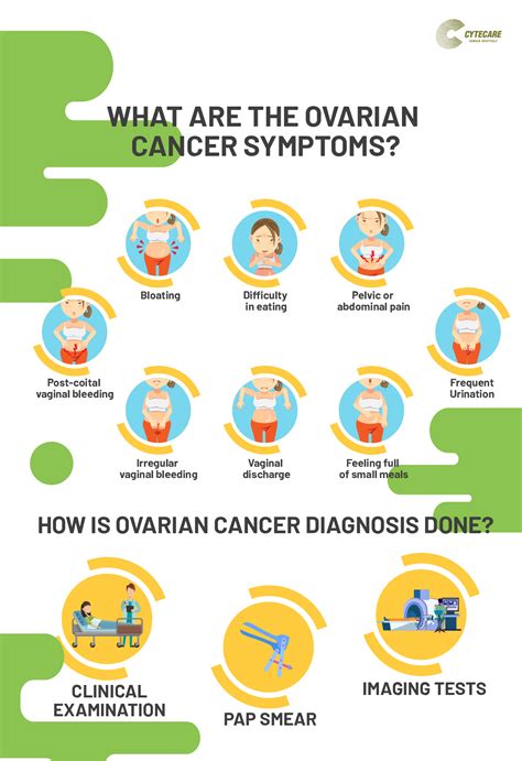 Ovarian Cancer Symptoms Diagnosis And Treatment Cytecare