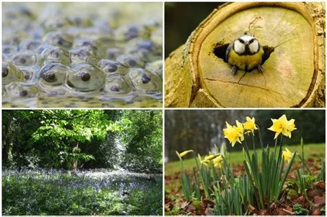 8 Signs Of Spring To Look Out In Birmingham And The Midlands