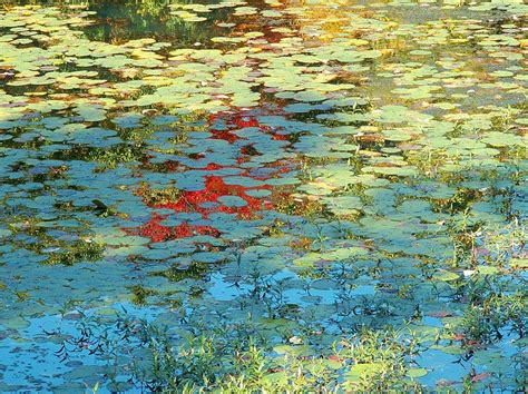 Monets Lily Pads 2 Monet Lily Pads Monet Original Fine Art