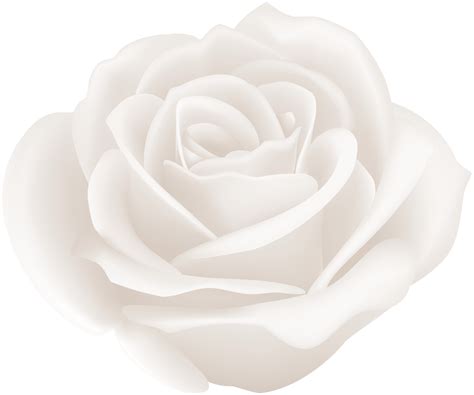 Rose White Clip Art White Rose With Stem Png Transparent Clip Art Riset