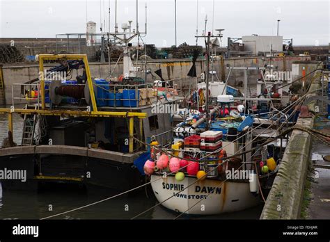 Fishing Boats At North Sunderland Harbour In Northumberland England