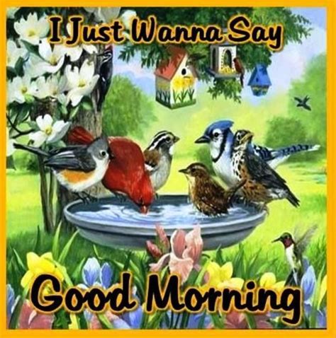 Good Morning Wishes Pictures Images Page 21